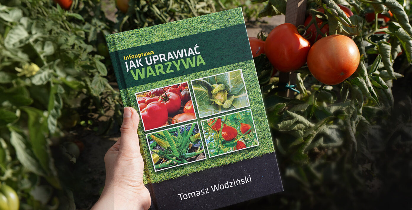 Jak uprawiać warzywa 3