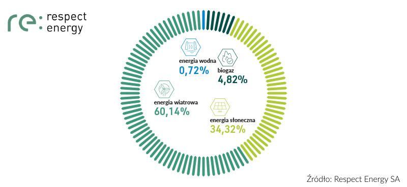 zielona energia - struktura paliw